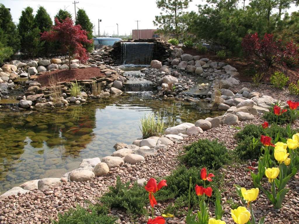 Hilton Garden Inn Buffalo Airport Чийктоуага Екстериор снимка
